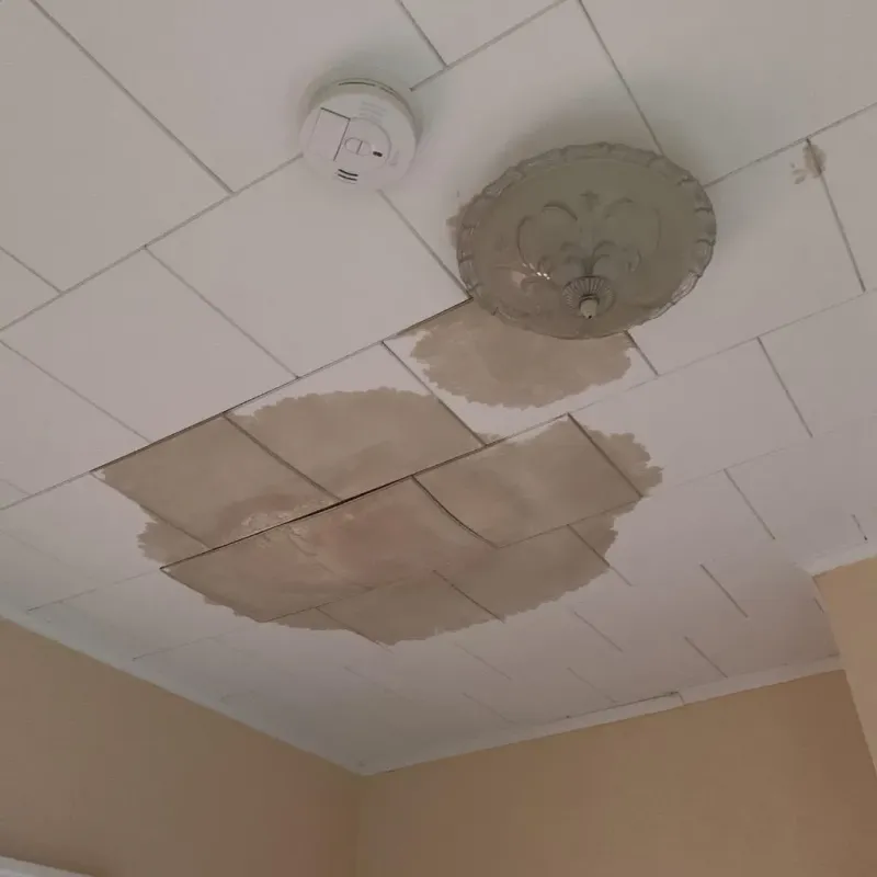 Ceiling Water Damage Repair in Rome, NY