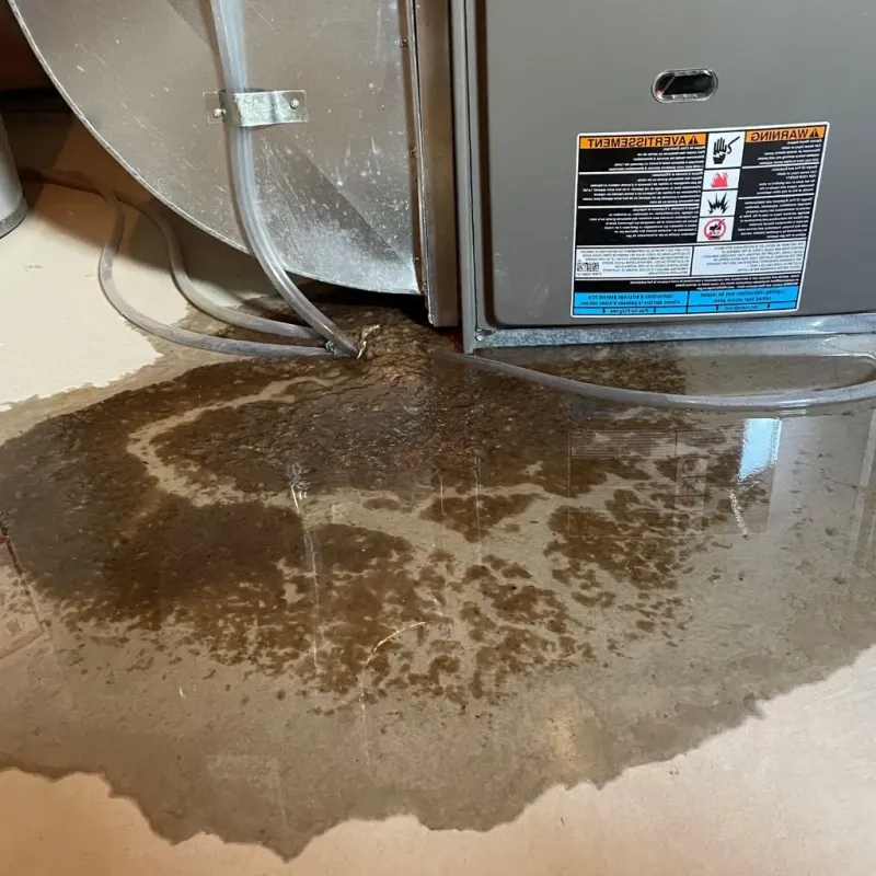 Pipe Burst and Leak Restoration in Rome, NY
